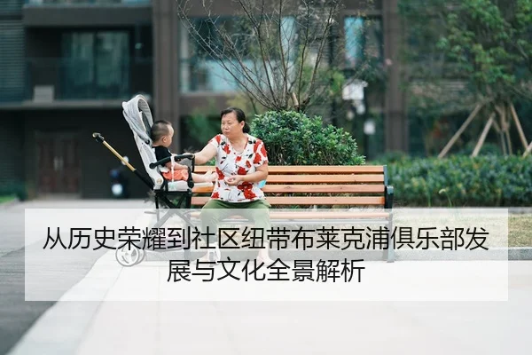 cong-li-shi-rong-yao-dao-she-qu-niu-dai-bu-lai-ke-pu-ju-le-bu-fa-zhan-yu-wen-hua-quan-jing-jie-xi-2-333.jpg
