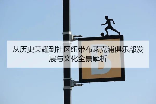 cong-li-shi-rong-yao-dao-she-qu-niu-dai-bu-lai-ke-pu-ju-le-bu-fa-zhan-yu-wen-hua-quan-jing-jie-xi-3-939.jpg